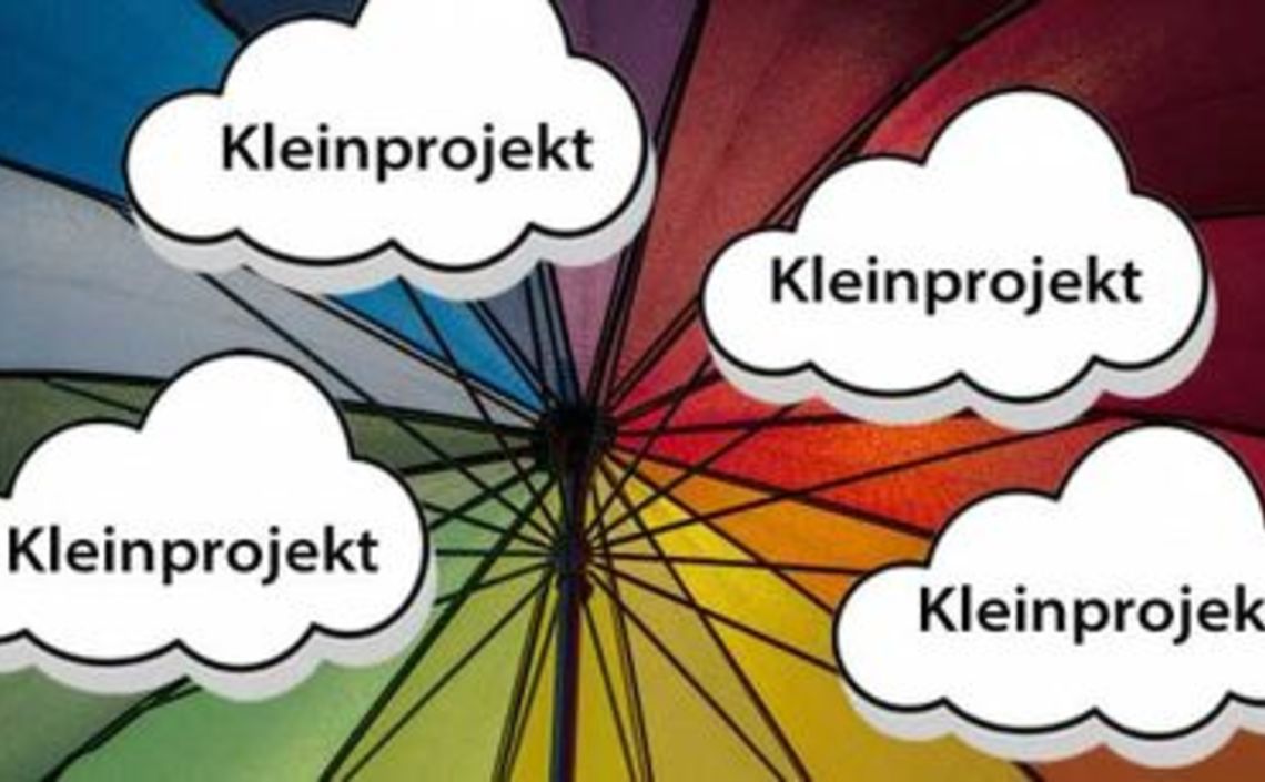 Schirmprojekt