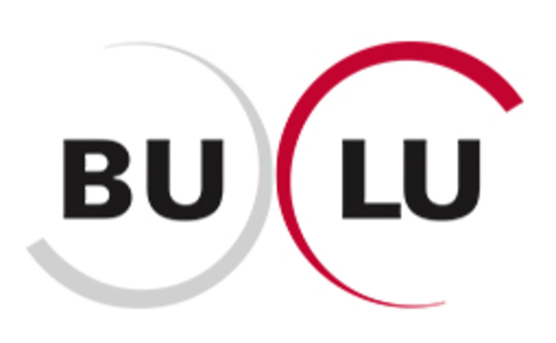 Bulu - Logo