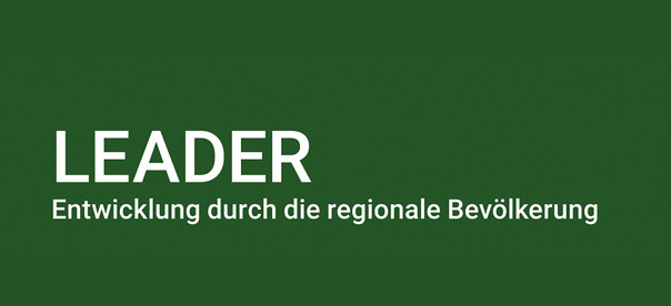 Projekt Leader
